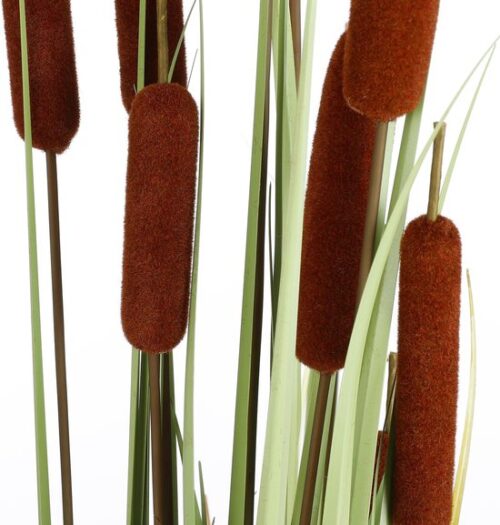 Mica Decorations Lisdodde Kunstplant - H120 x Ø15 cm - Bruin - Afbeelding 3