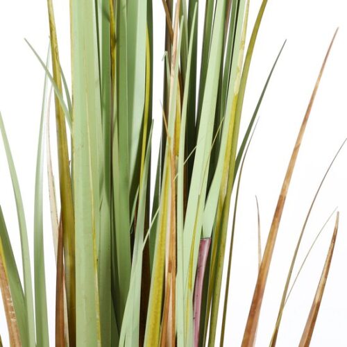 Mica Decorations Lisdodde Kunstplant - H120 x Ø15 cm - Bruin - Afbeelding 4