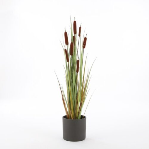 Mica Decorations Lisdodde Kunstplant - H120 x Ø15 cm - Bruin - Afbeelding 5