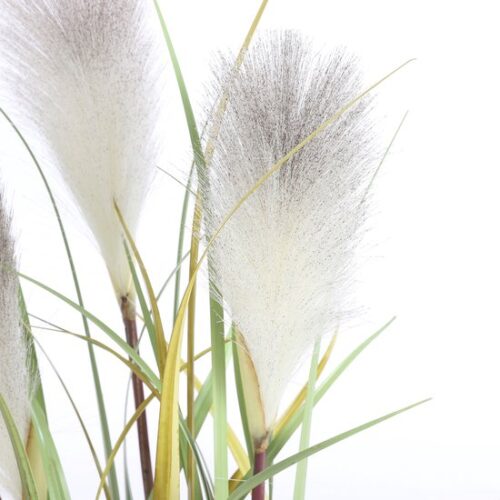 Mica Decorations Pluimgras Foxtail Kunstplant - H81 x Ø45 cm - Wit - Afbeelding 2