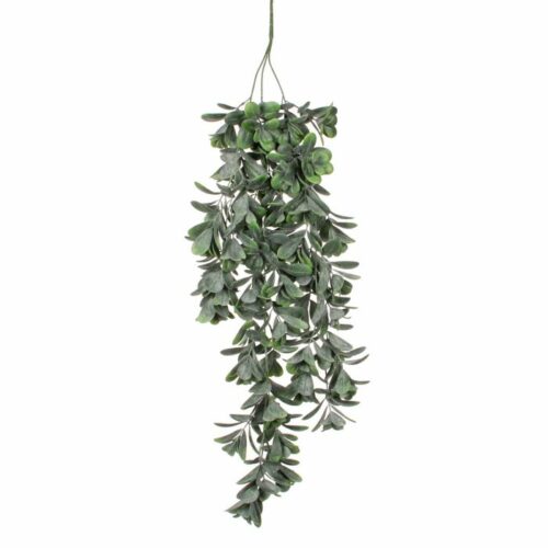 Mica Decorations Kunstplant Crassula Hangend Groen 79 x 23 x 10 cm
