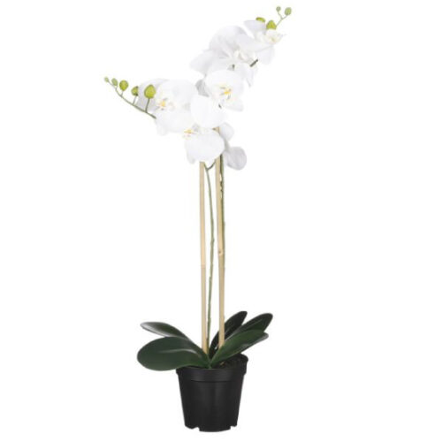 Mica Decorations Orchidee Kunstplant - Wit - 70 x 38 cm