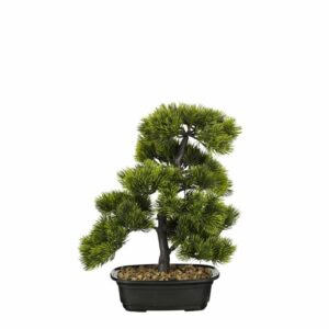 Mica Decorations Bonsai Boompje - 27 x 27 x 33 cm - Groen