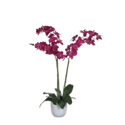 Mica Decorations Phalaenopsis Paars In Pot Tusca - 100 x 53 cm - Wit