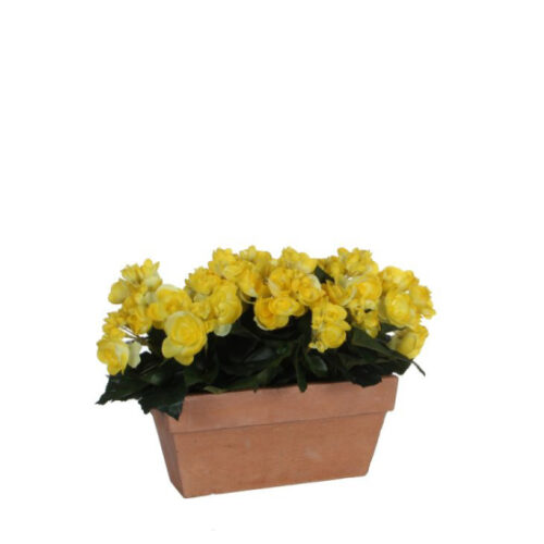 Mica Decorations Begonia Geel In Balkonbak - 29 x 13 x 25 cm