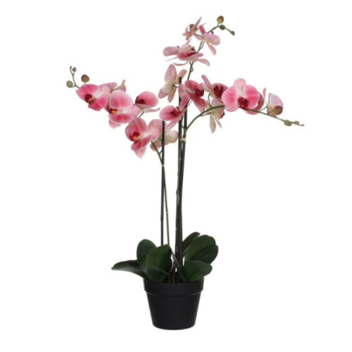 Mica Decorations Orchidee Kunstplant - 75 x 50 cm - Roze