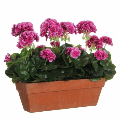 Mica Decorations Geranium Balkonbak - 39x13x40 cm - Terra - Paars