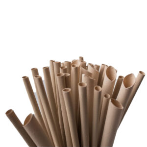 1600 Bamboe Vezel Rietjes Wrapped 230 x 12 mm - Bruin