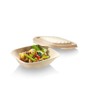 500 Suikerrieten Bowls Vierkant 500ml - 17 x 17 x 4cm