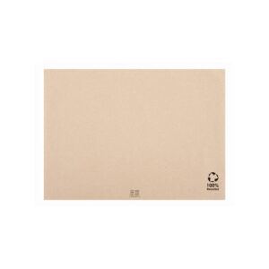 2000 Placemats 43x31cm Gerecycled