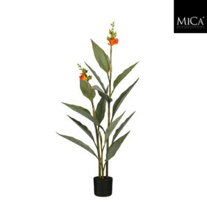 Mica Decorations Canna in pot orange - 115 x 46cm