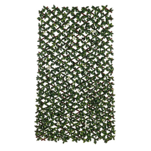 Mica Decorations Buxus Mat - 200 x 100 x 8cm - Groen