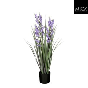 Mica Decorations Gras Campanula in pot - 78 x 20cm - Paars