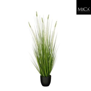 Mica Decorations Eremurus in Pot - 110 x 35 cm - Wit