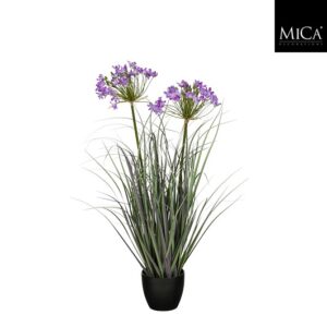 Mica Decorations Allium Ampeloprasum in pot - h80xd25cm - Paars