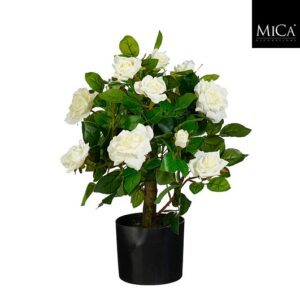 Mica Decorations Rozen in een pot - 60 x 40 cm - Wit